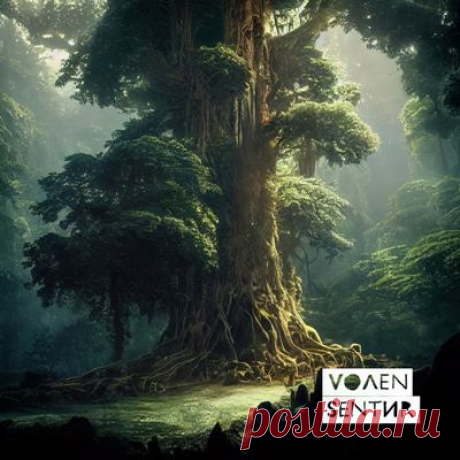Volen Sentir – Moment Of Peace