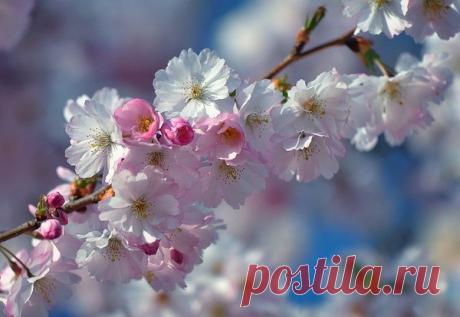 Только вам решать, когда начнется весна в вашей жизни.