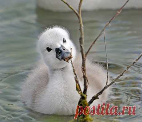 Мой Мир@Mail.Ru