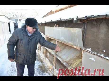 Содержание кроликов зимой на кроликоферме Николая Шаталова - YouTube