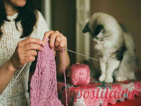 Совместник/сроки/участники