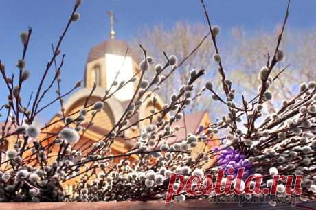 Забыли люди как бесценна жизнь Забыли люди как бесценна жизнь.Война уже привычным стала словом.Кому-то – смерть, кому-то – вечным стоном,кому-то – скорбь, кому-то – в горле комом...ну а кому-то – неплохим уловом.И смотрит сверху Бо...