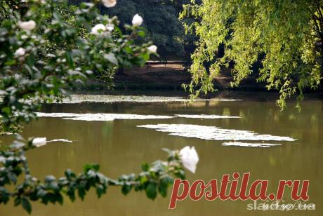 Ставок у Шенборському парку. ::: альбом The best places in Ukraine Україна найкращі місця The best places in Ukraine

Ставок у Шенборському парку.
Обриси викопаного наприкінці XIX століття ставка (за задумом власника парку) умовно відтворюють карту Австро-Угорської імперії.
