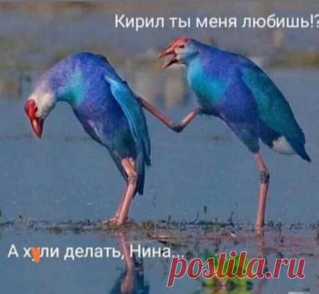 ღ Женская реальность 2024 ღ