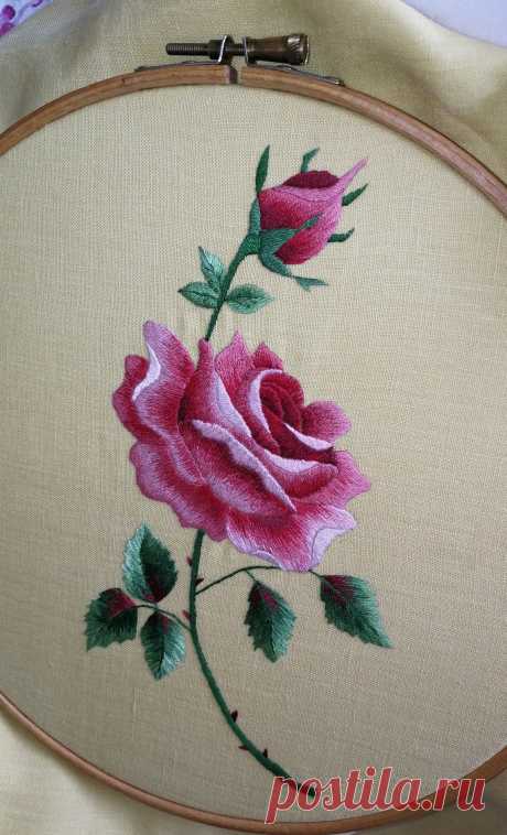 My rose project - Salvabrani