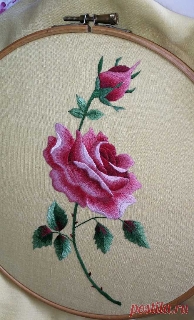 My rose project - Salvabrani
