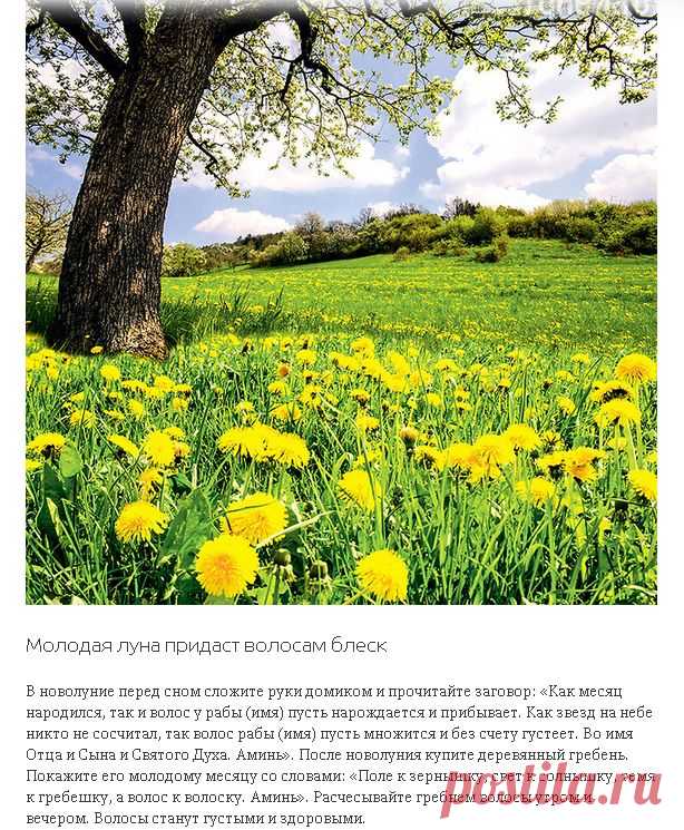 НОВОЛУНИЕ - БЛЕСК ВОЛОСАМ !!! **Май - месяц колдовской, для девичьей красы благотворный.