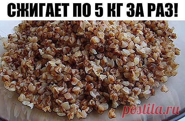 СЖИГАЕТ ПО 5 КГ ЗА РАЗ! — Золотой погребок