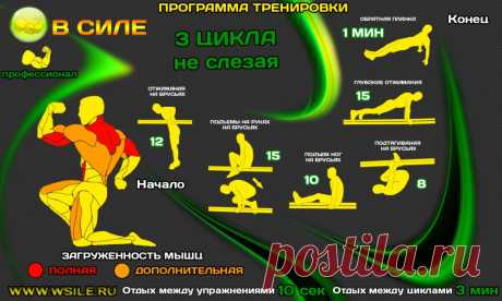 53 тренировочных программы для Начинающих, Продвинутых, Профессионалов и Мастеров от сайта WSILE.RU - WorkOut