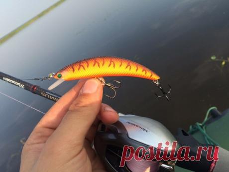 Лучший мелководный миноу уходящего года. Сайт Новосибирских рыбаков