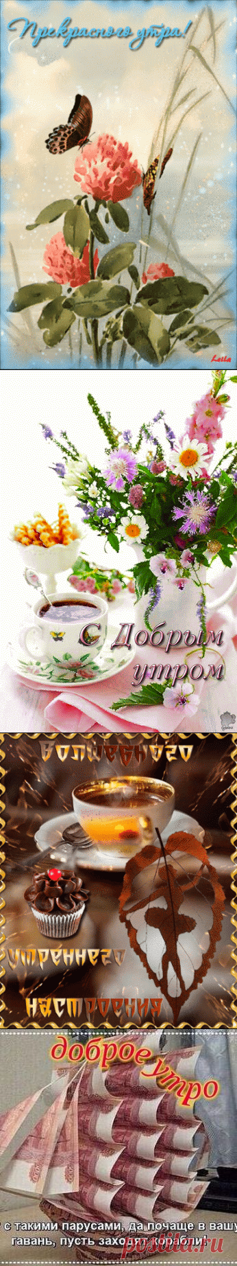 231 карточка в коллекции «Открытки» пользователя Марина Карпова в Яндекс.Коллекциях