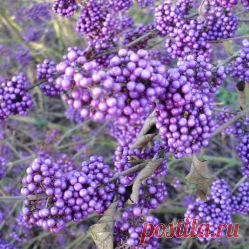 7 законов Вселенной в нашей жизни