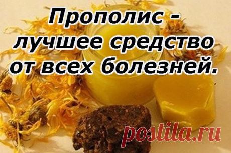 ПРОПОЛИС - ЛУЧШЕЕ СРЕДСТВО ОТ ВСЕХ БОЛЕЗНЕЙ 

Сочетание прополиса и молока дает особый эффект: помимо лечения простудных и легочных заболеваний улучшается общее самочувствие, сон, снимается раздражительность, усталость. 

 10%-ную настойку прополиса лучше всего купить в аптеке. Пузырька емкостью 25 мл вам хватит надолго, а стоит он всего несколько рублей. 

 Принимать средство следует вечером, перед сном по 20 капель в 100 мл горячего молока в течении 10 дней один раз в ме...