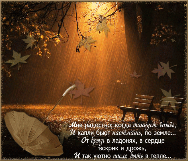 ВЫШИВКА.ДОЖДЬ...