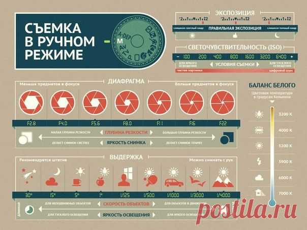 Да пребудет с нами Светосила!