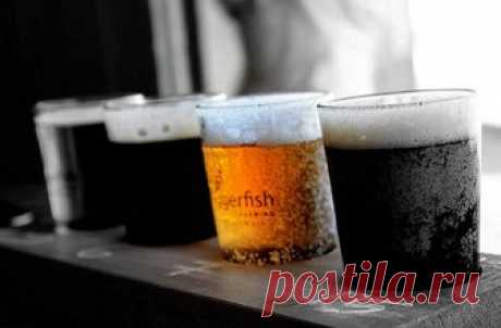 10 странных блюд, которые были популярны в прошлом
Даже если принять во внимание, что прогресс не стоит на месте и вместе с ним эволюционируют вкусы человечества, все равно странно, что когда-то люди могли есть совершенно несъедобные по современным меркам блюда. Нет, мы не про летучих мышей и каменный век, а про намного более поздние времена, начиная с 50-х годов XX века, когда цветная […]
Читай дальше на сайте. Жми подробнее ➡