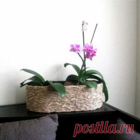 Цветочный горшок своими руками: настоящая изюминка интерьера!