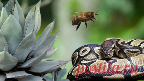 5 омолаживающих процедур, которые бы не рискнула испробовать на себе