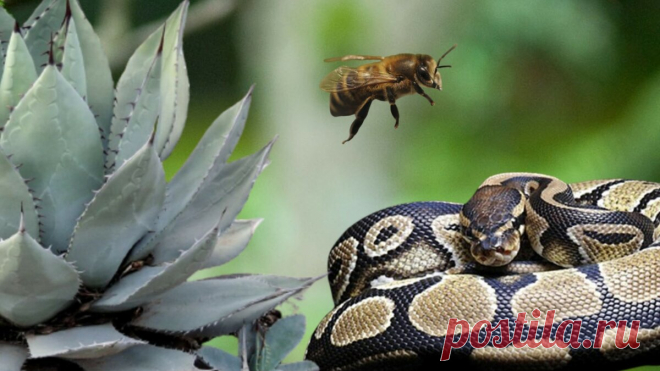 5 омолаживающих процедур, которые бы не рискнула испробовать на себе