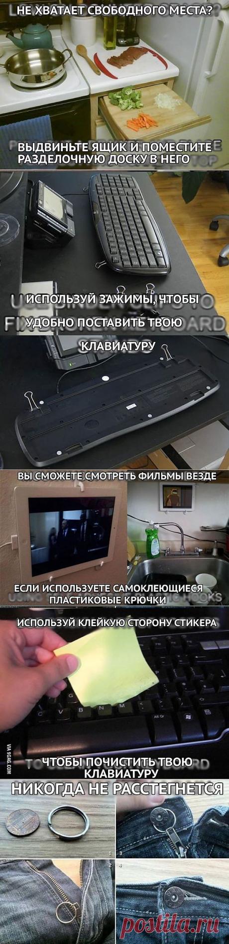 Несколько нехитрых лайфхаков | Среда обитания