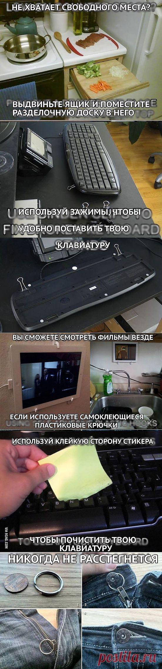 Несколько нехитрых лайфхаков | Среда обитания