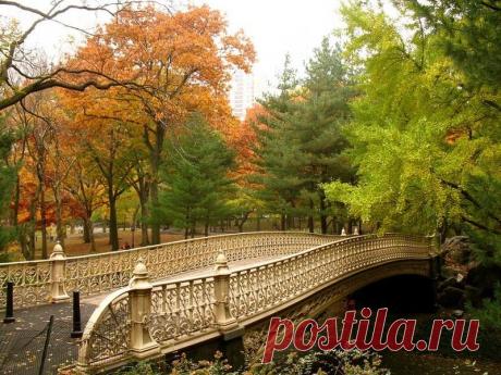 Развела мосты осень...