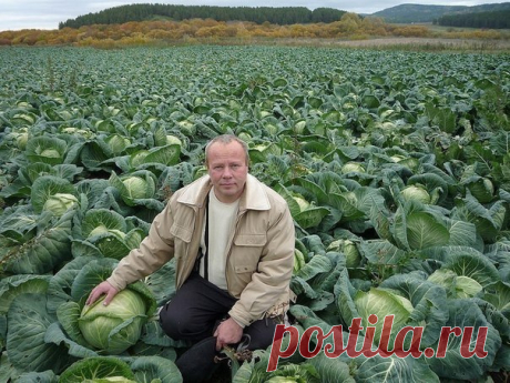 Загородный дом - Группы Мой Мир