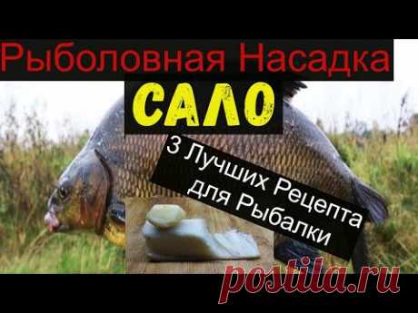 Супер Рыболовная Насадка -САЛО- 3 ЛУЧШИХ РЕЦЕПТА ДЛЯ РЫБАЛКИ. bait for carp.bait for bream.