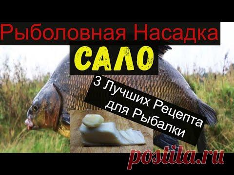 Супер Рыболовная Насадка -САЛО- 3 ЛУЧШИХ РЕЦЕПТА ДЛЯ РЫБАЛКИ. bait for carp.bait for bream.