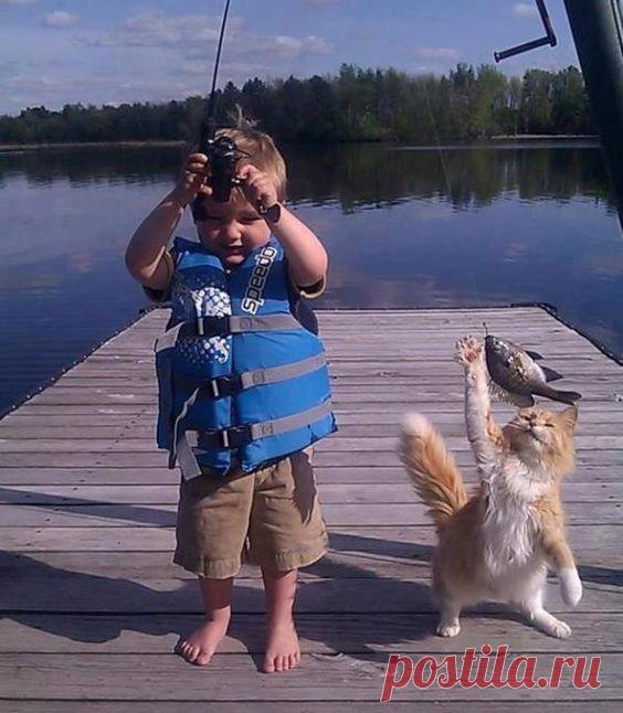 ...fishing buddies...  |   Pinterest • Всемирный каталог идей