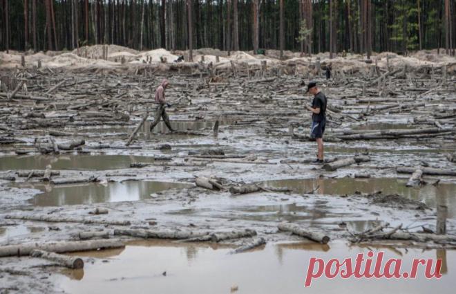 Несколько районов Центральной и Западной Украины вышли из подчинения Киева