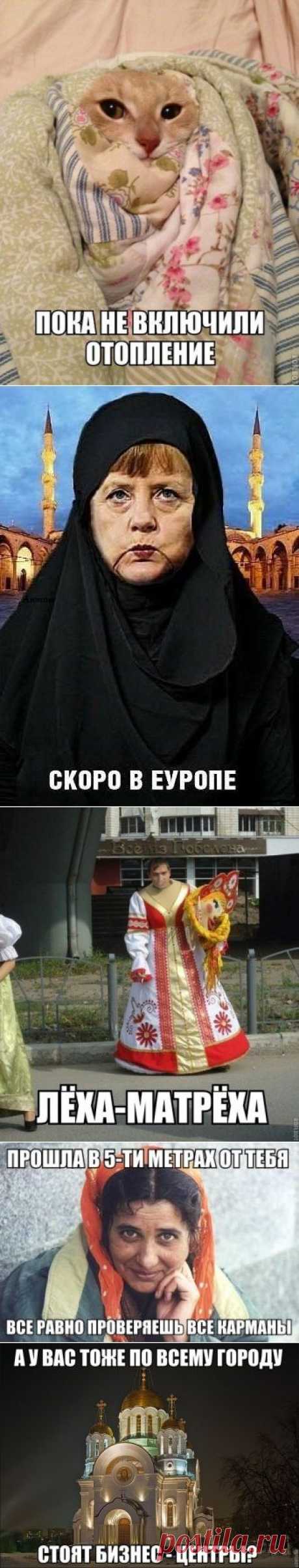 30 лучших картинок с фразами. Жмите Лайк! / Писец - приколы интернета