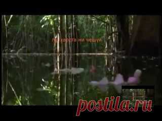 Удачная рыбалка