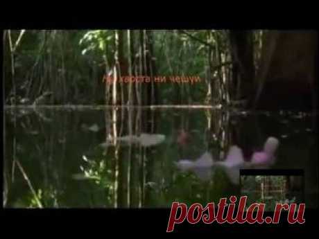 Удачная рыбалка