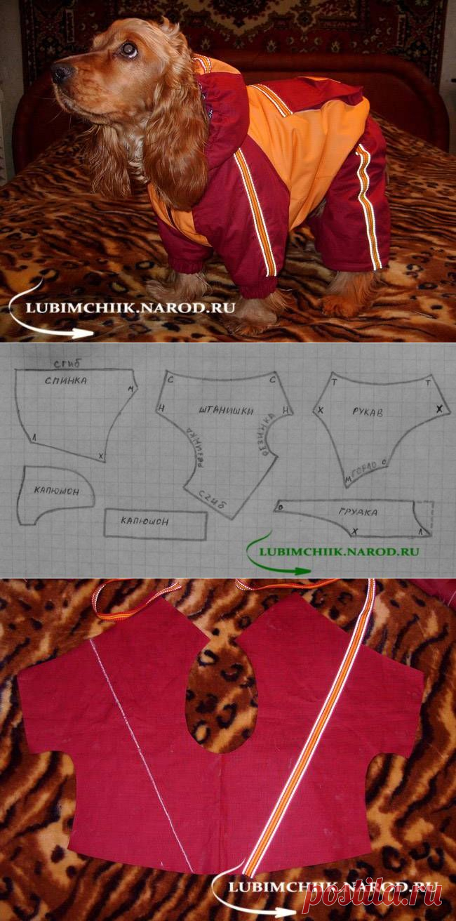 Без заголовка