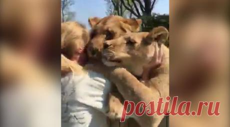 Вести.Ru: новости, видео и фото дня