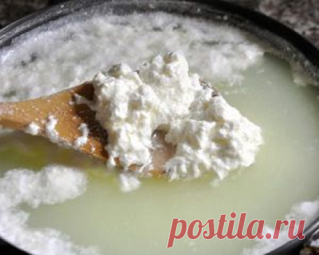 Целебный творог долгожителей