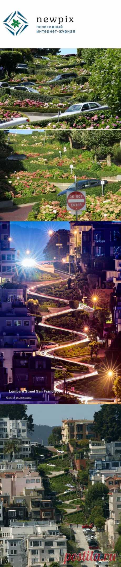 Самая извилистая улица в мире - Ломбард-стрит (Lombard Street), Сан-Франциско | Newpix.ru - позитивный интернет-журнал