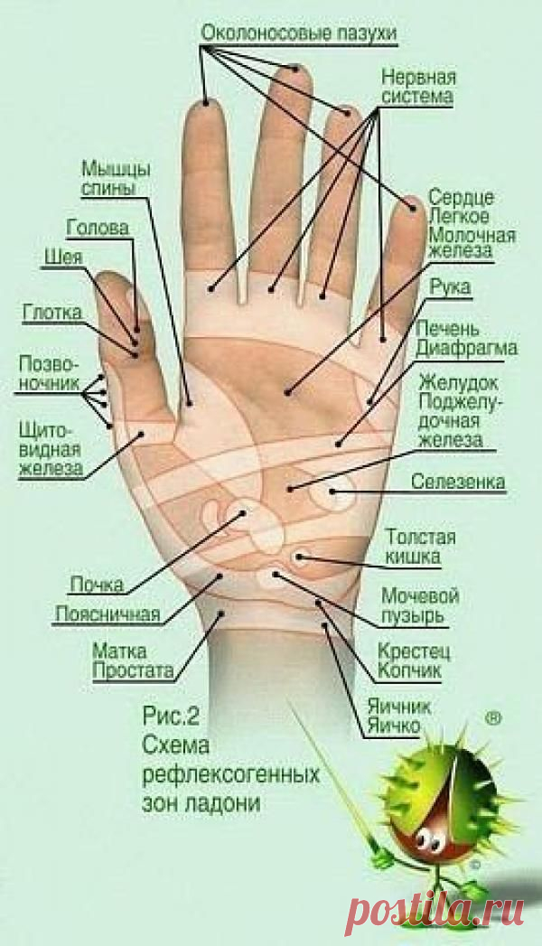 Секрет Древних Врачевателей! Всего одно движение улучшит Ваше здоровье!