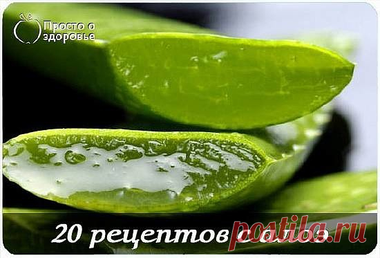20 РЕЦЕПТОВ С АЛОЭ

Не все листья алоэ следуют срезать для лечения. Лучше всего подходят нижние листья. Они всегда более зрелые. Для лечения берите листья длиной не менее 15 см. Можно ориентироваться по кончикам листьев. Как только они начинают подсыхать, вот тогда он самый полезный для здоровья. 
 
Срежьте лист алоэ у основания. Только нужно помнить, что после 3-4 часов на открытом воздухе пропадает большая часть целебных свойств алоэ. Так что готовить лекарство лучше все...