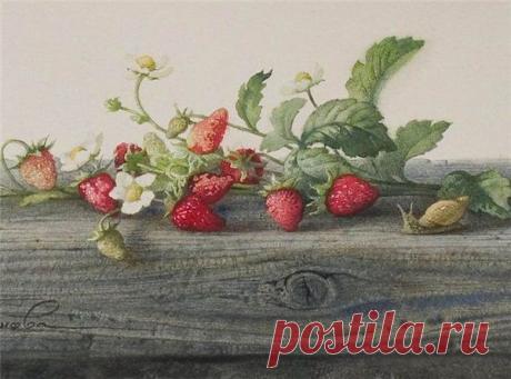 Цветочное да ягодное. Акварели Елены Базановой..