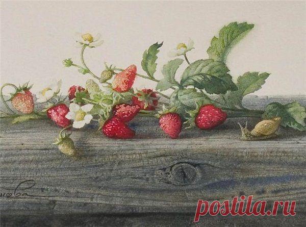 Цветочное да ягодное. Акварели Елены Базановой..