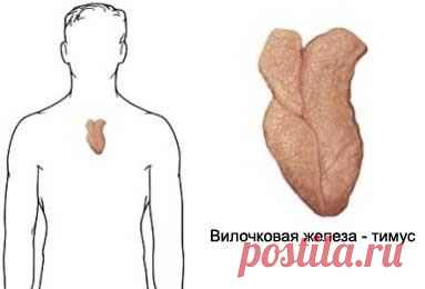 Что Будет, Если Стимулировать Эту Точку?