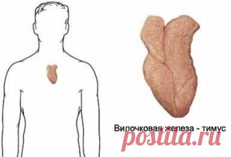 Что Будет, Если Стимулировать Эту Точку?