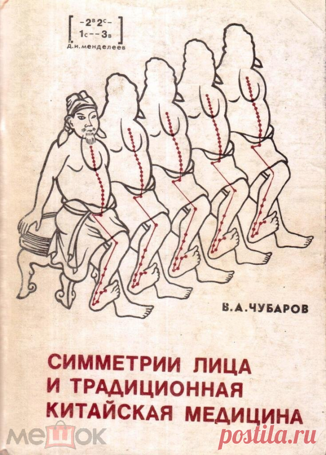 Симметрии лица и традиционная китайская медицина. Мешок