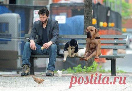 ;-)
☑ Зацепило? Добавляйся !☚(ړײ)✌
Бременские музыканты. Ждём осла.