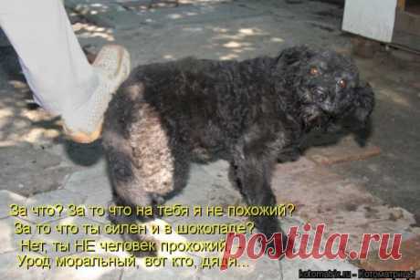 урод ты,двуногий.....