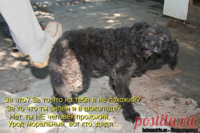 урод ты,двуногий.....