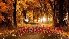 635374108.jpg (1920×1080)