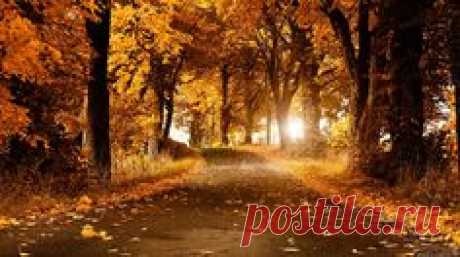 635374108.jpg (1920×1080)